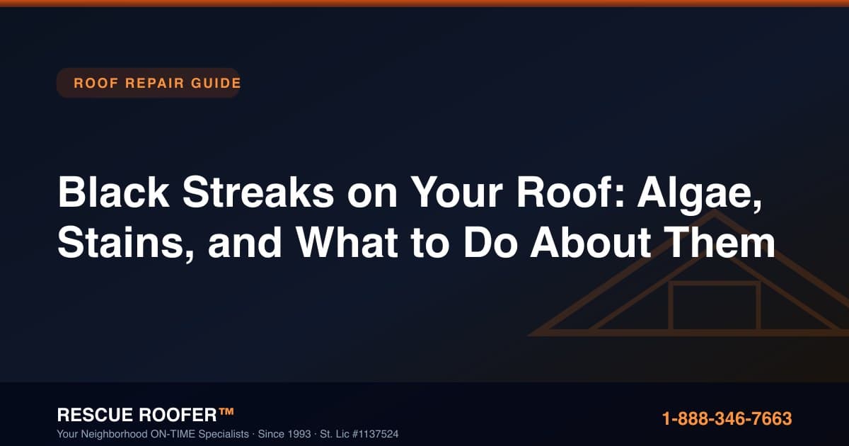Black Streaks on Your Roof: Algae, Stains, and What to Do About Them