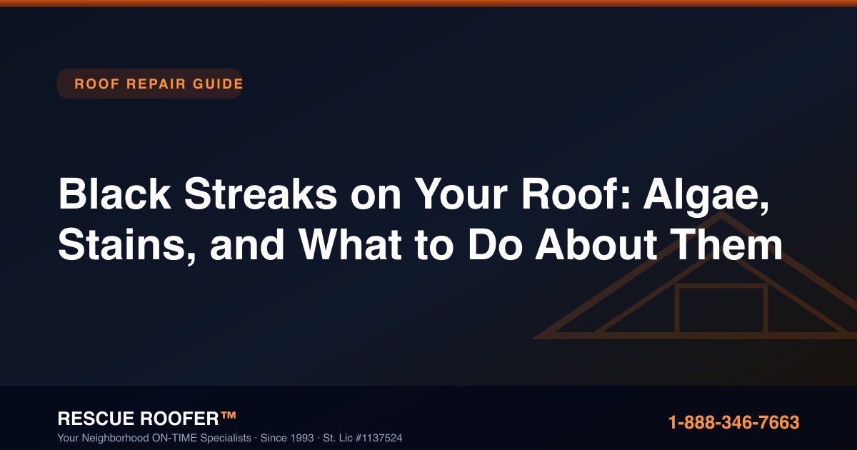 Black Streaks on Your Roof: Algae, Stains, and What to Do About Them